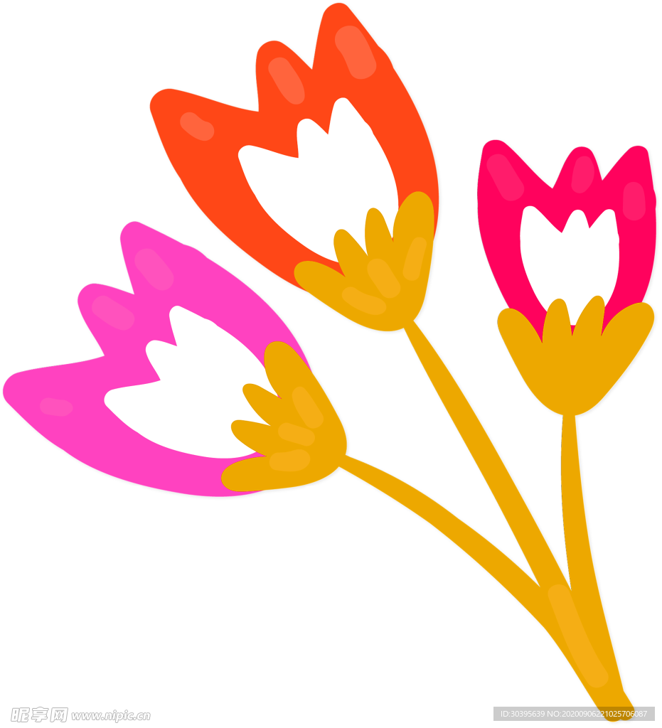 鲜花素材