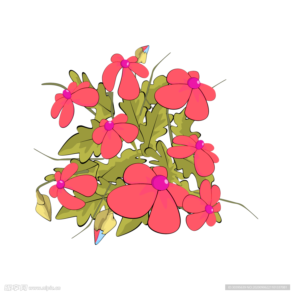 鲜花素材