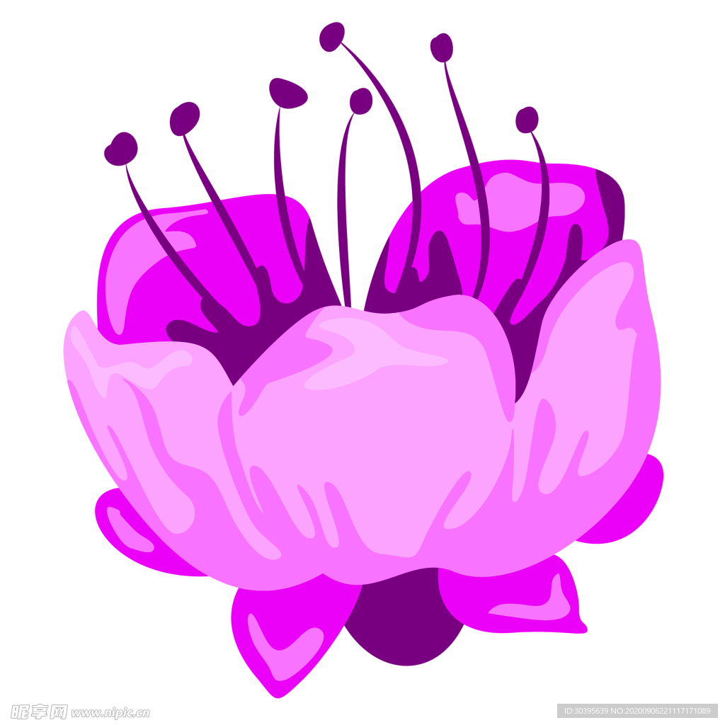 鲜花素材