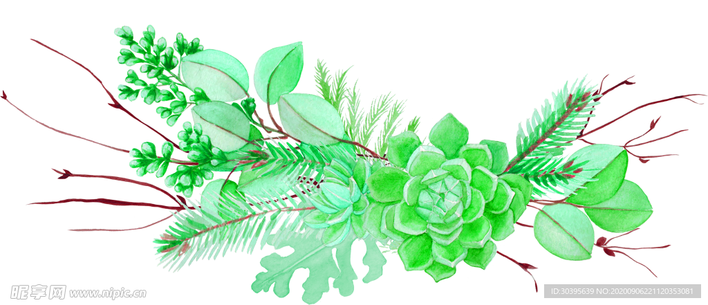 鲜花素材