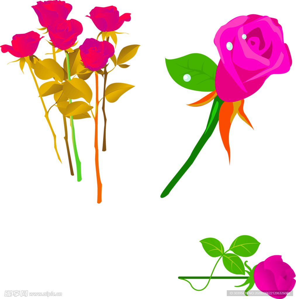 鲜花素材