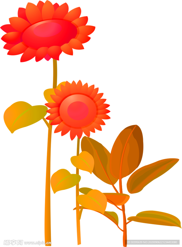 鲜花素材