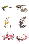 梅花素材