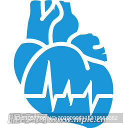 心脏