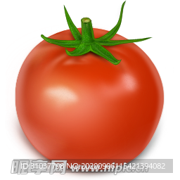 番茄