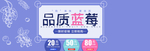 品质蓝莓