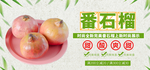 番石榴
