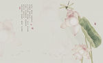 荷花 蜻蜓 背景墙