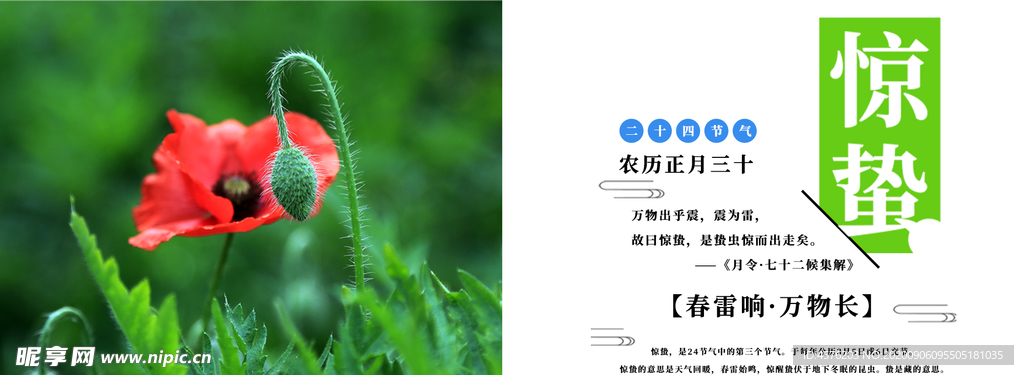 手机壁纸