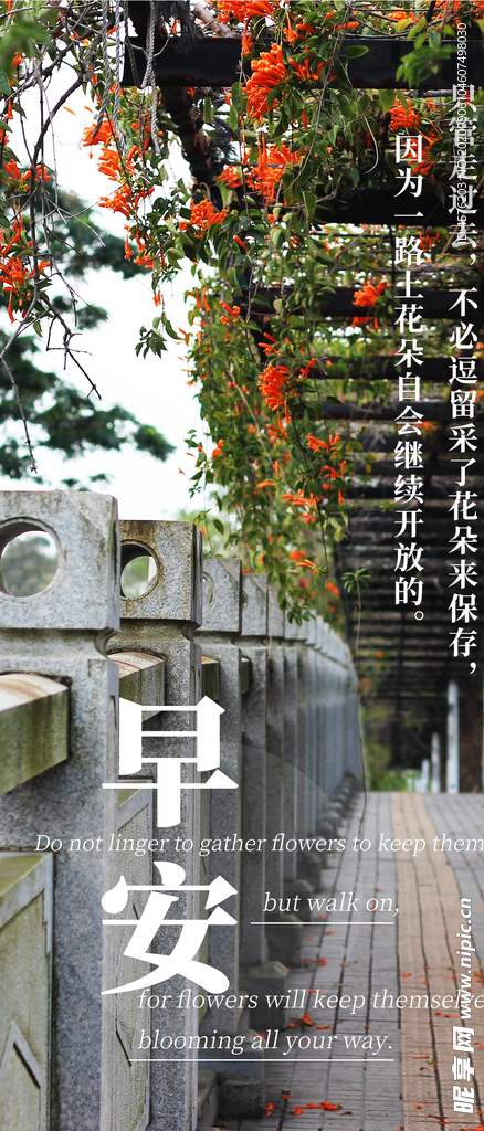 手机壁纸