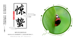手机壁纸