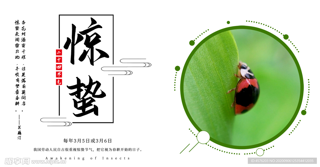 手机壁纸