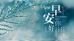 手机壁纸