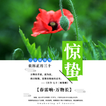 手机壁纸