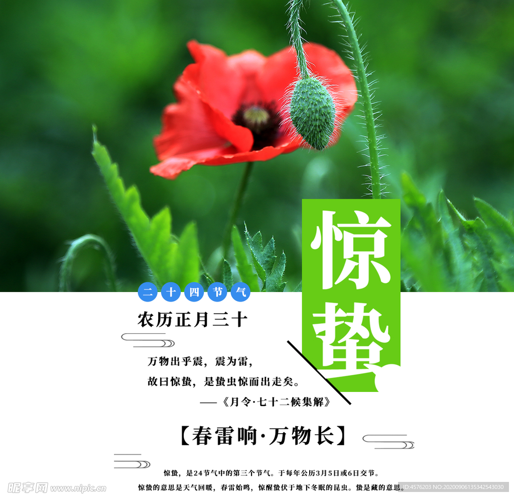 手机壁纸