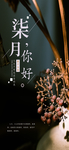 手机壁纸