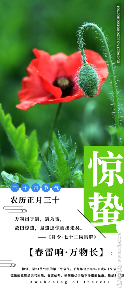 手机壁纸