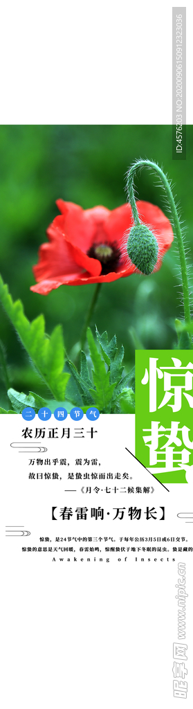 手机壁纸