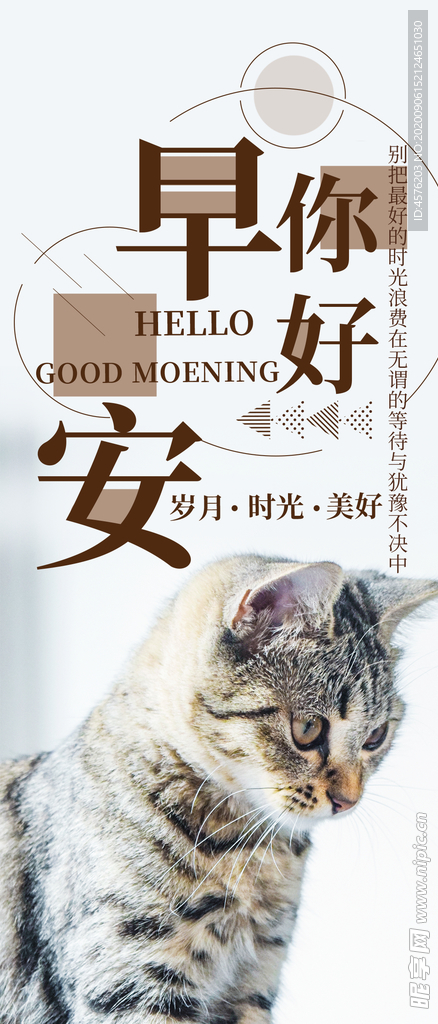 手机壁纸