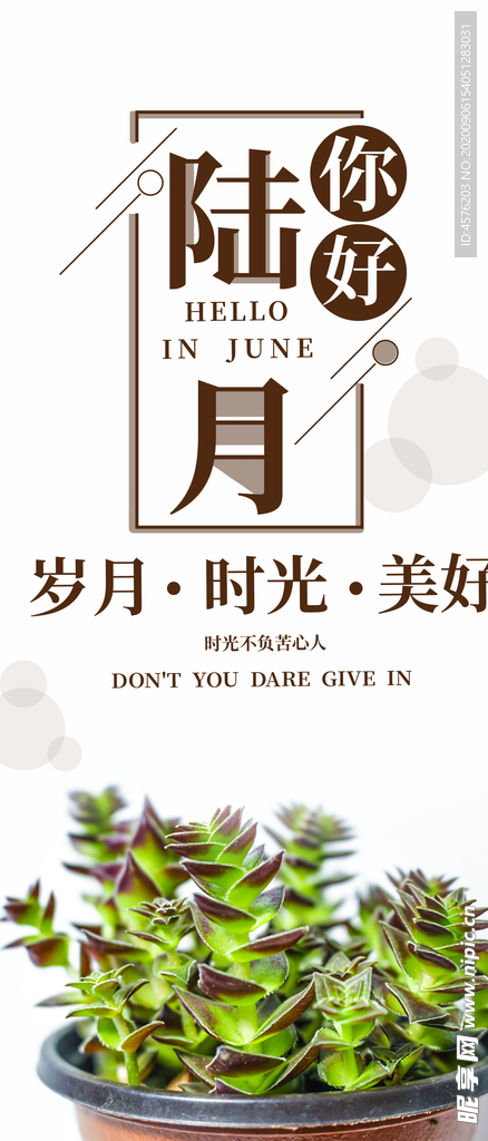 手机壁纸