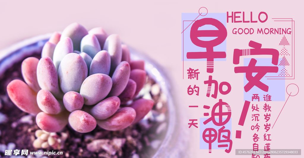 手机壁纸