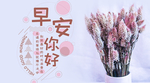 手机壁纸