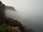 大海