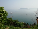 大海