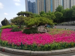 小区