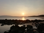 大海