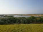 天鹅湖