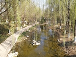 小河