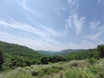 山