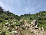 山