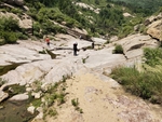山