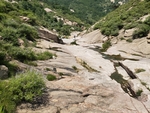 山