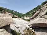 山