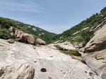 山