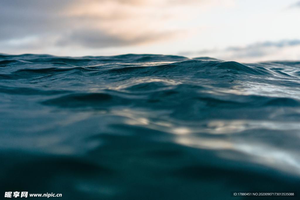 海水