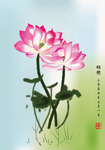 手绘荷花
