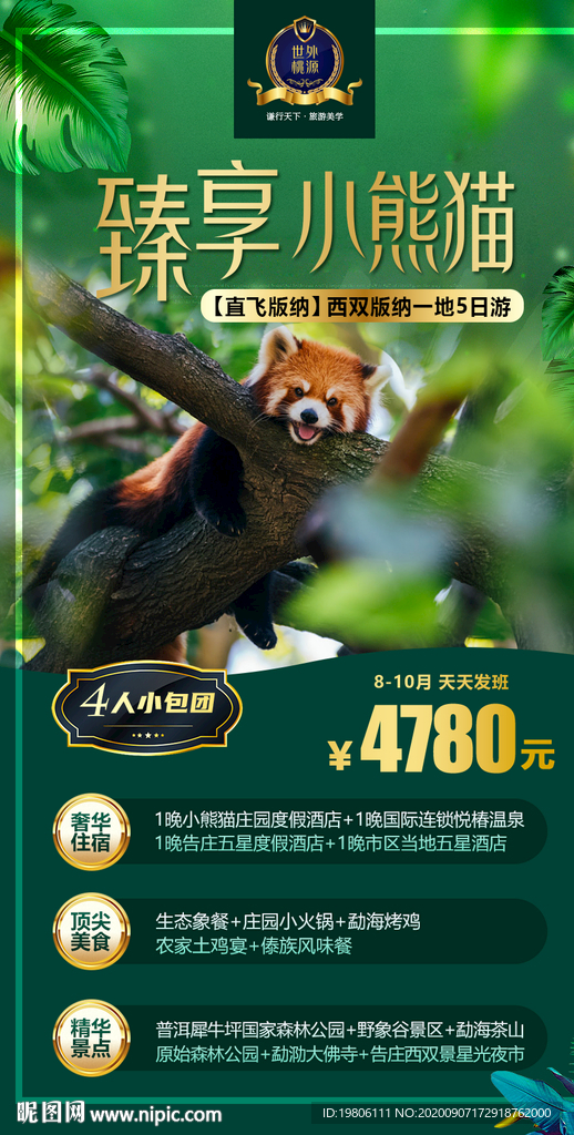 云南西双版纳旅游海报小熊猫