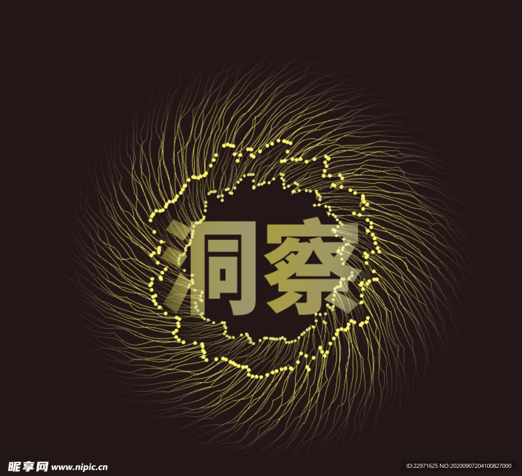 洞察