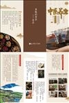 中医艾灸