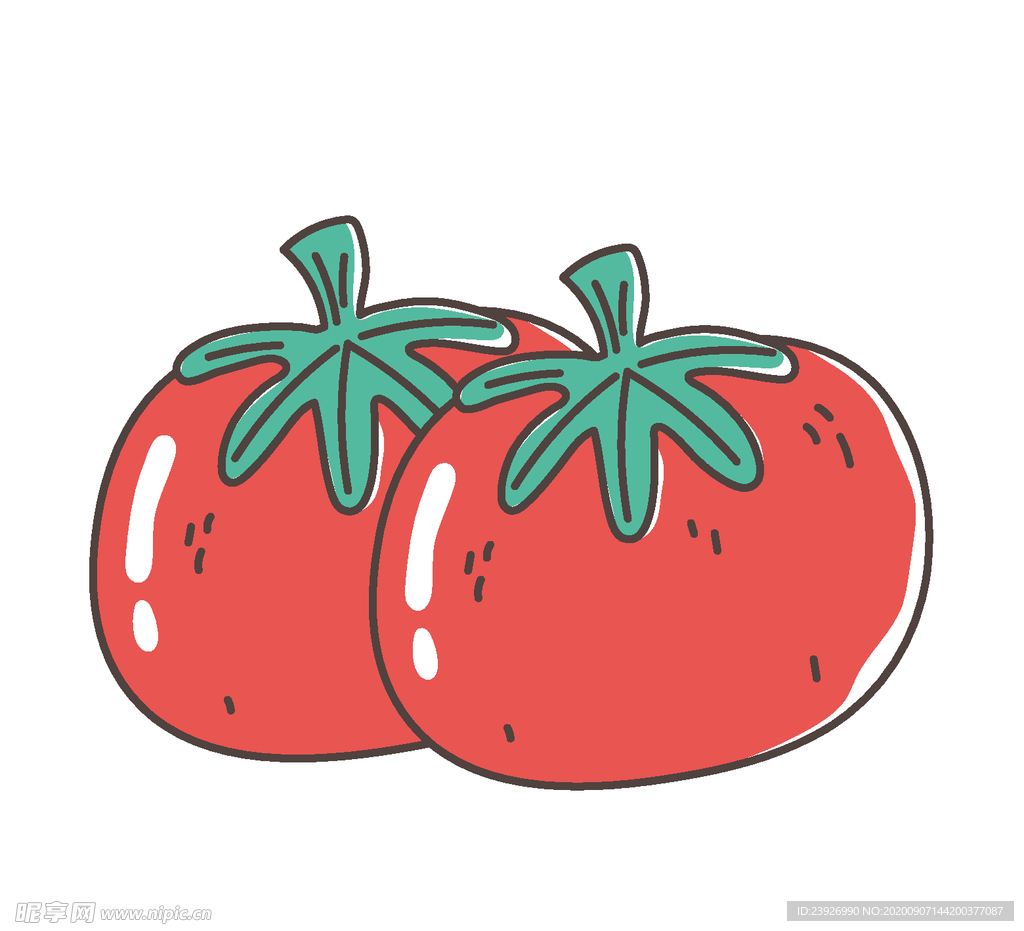 手绘西红柿