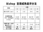 Bishop 宫颈成熟度评分法