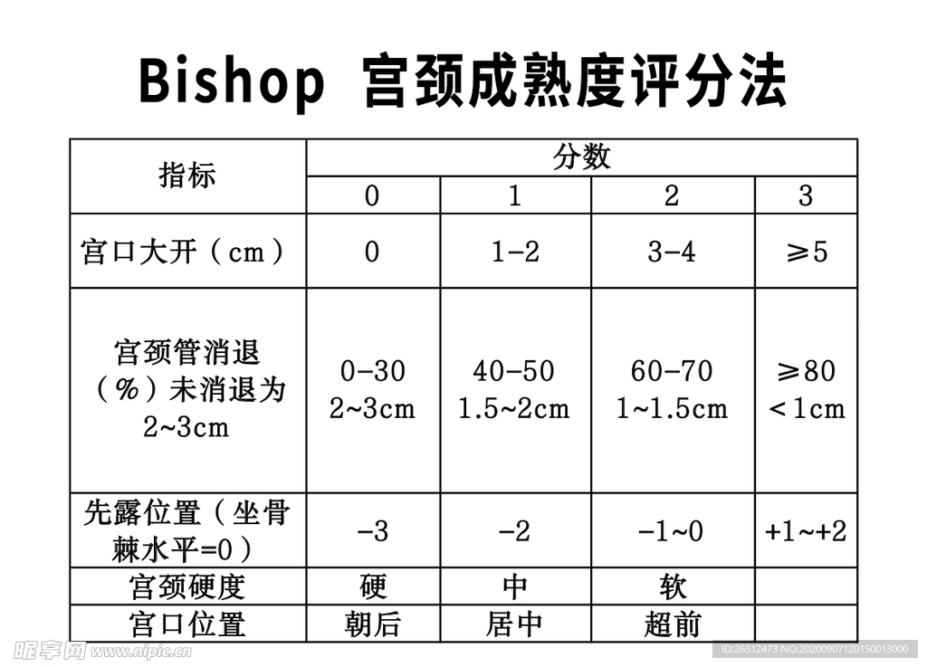 Bishop 宫颈成熟度评分法