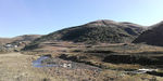 山川田野