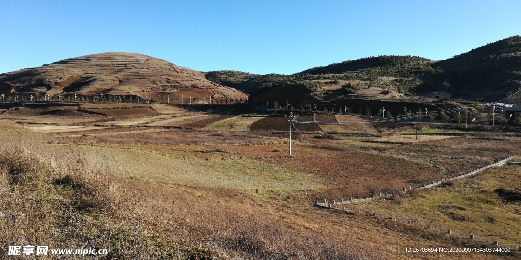 高山田野牧场风景