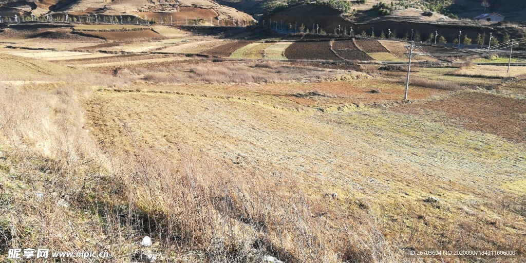 山间田园风光