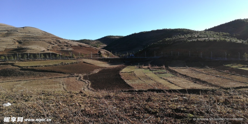 高山田野风景